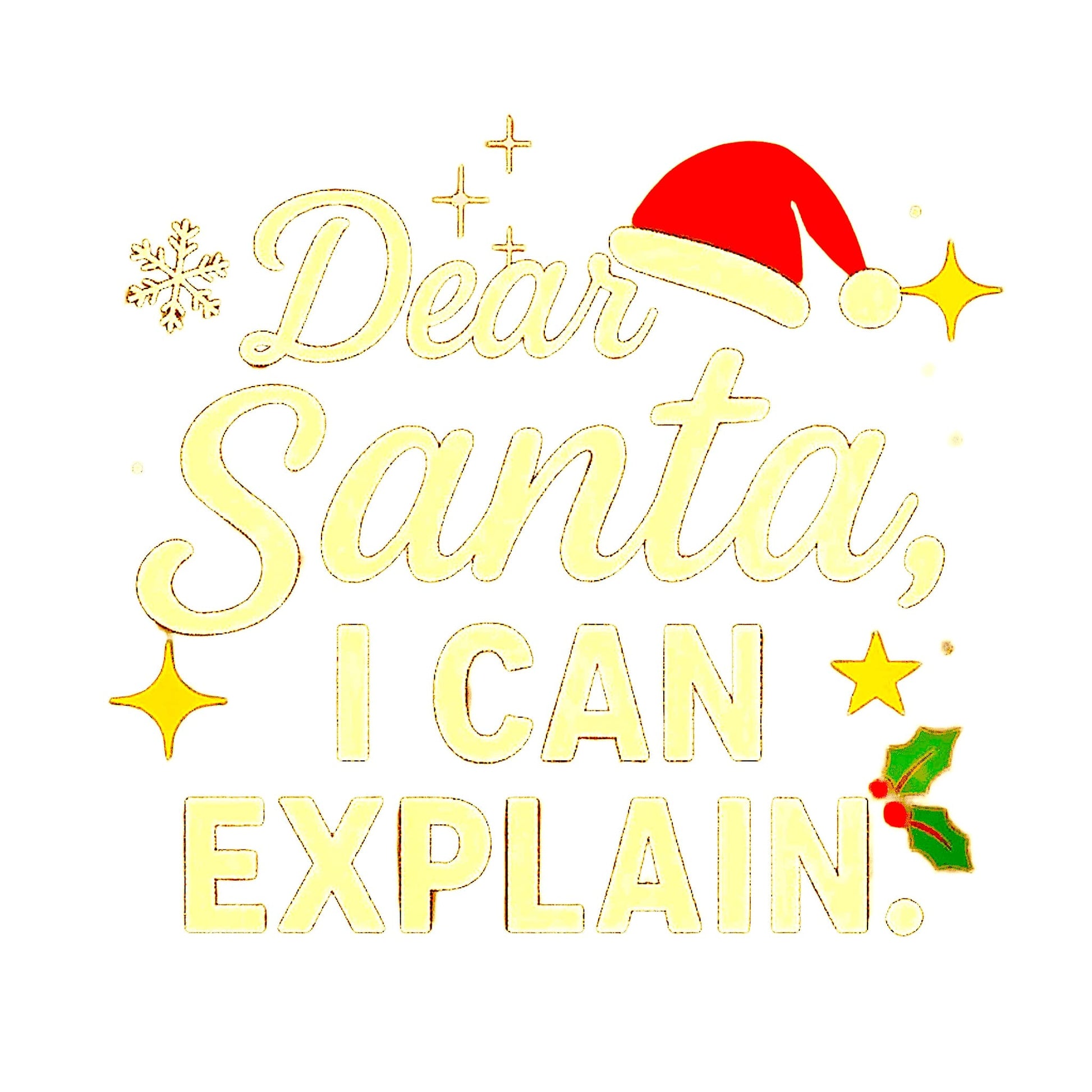 Festive Christmas graphic with “Dear Santa, I Can Explain” text, Santa hat, stars, snowflake, and holly decoration.